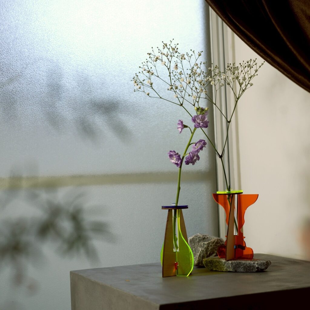 RUBINs vase